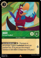 Iago - Perroquet braillard