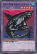 Requin Noir Mangeur d'Hommes